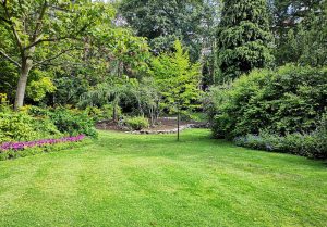 Optimiser l'expérience du jardin à Montaut